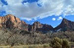 Zion is beautiful in the Winter or the Summer